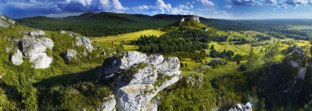 Panorama Jury Krakowsko-Częstochowskiej ze skałami wapiennymi