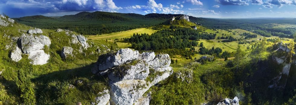 Panorama Jury Krakowsko-Częstochowskiej ze skałami wapiennymi
